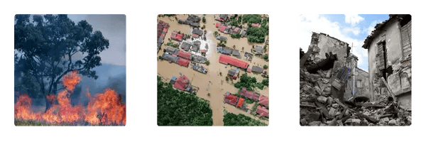 disaster-management