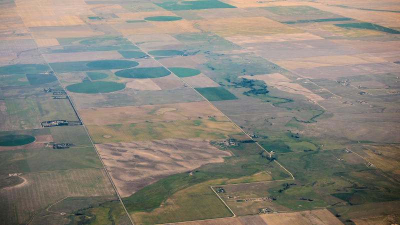 View of fields from a plane.